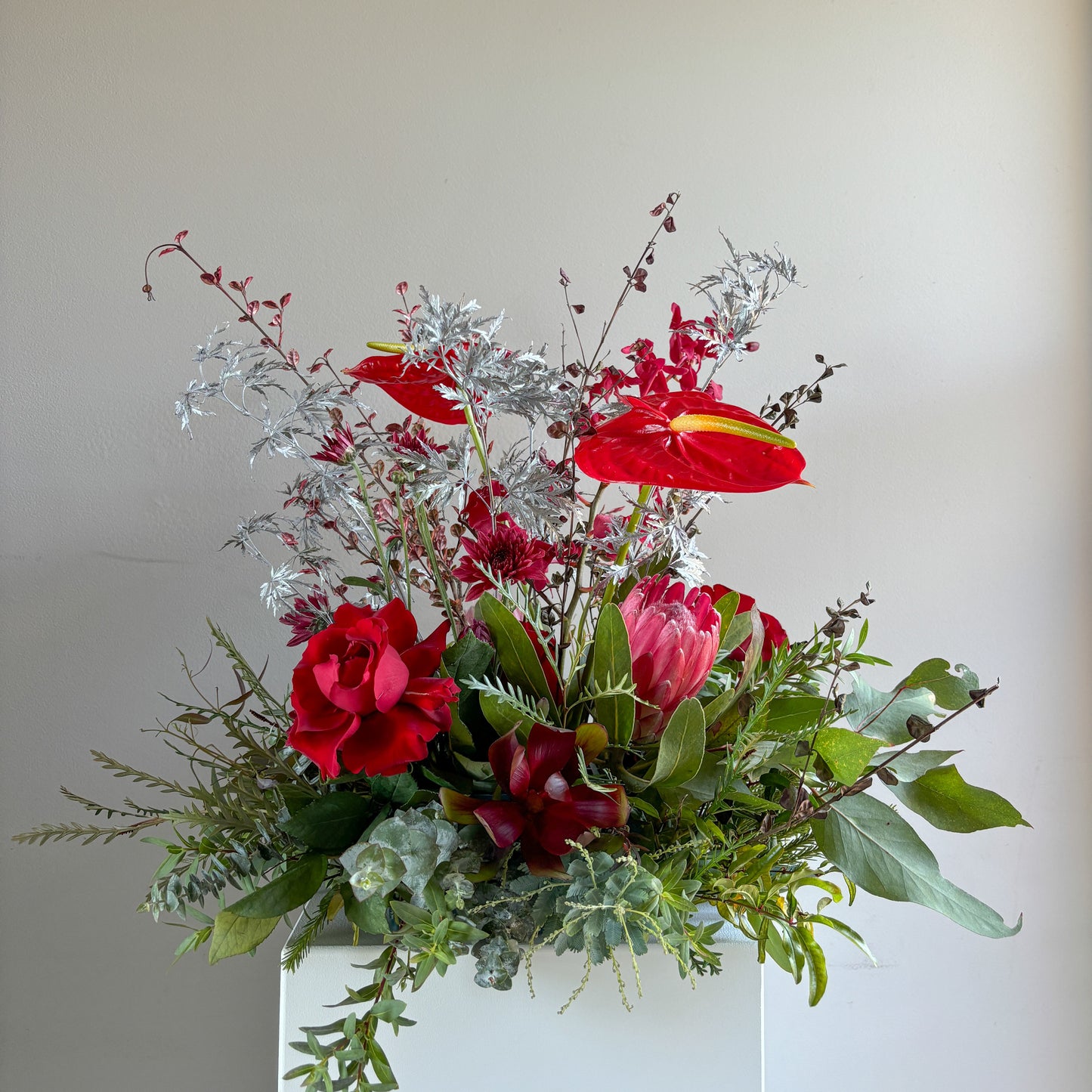 medium floral cloud bright and bold native