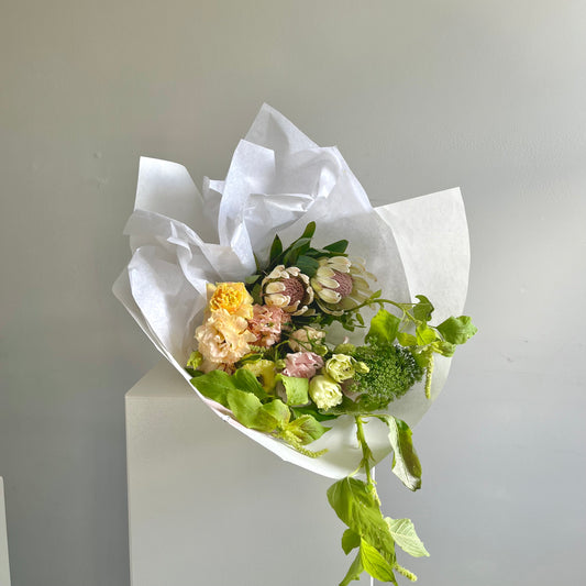 protea pookie baby
